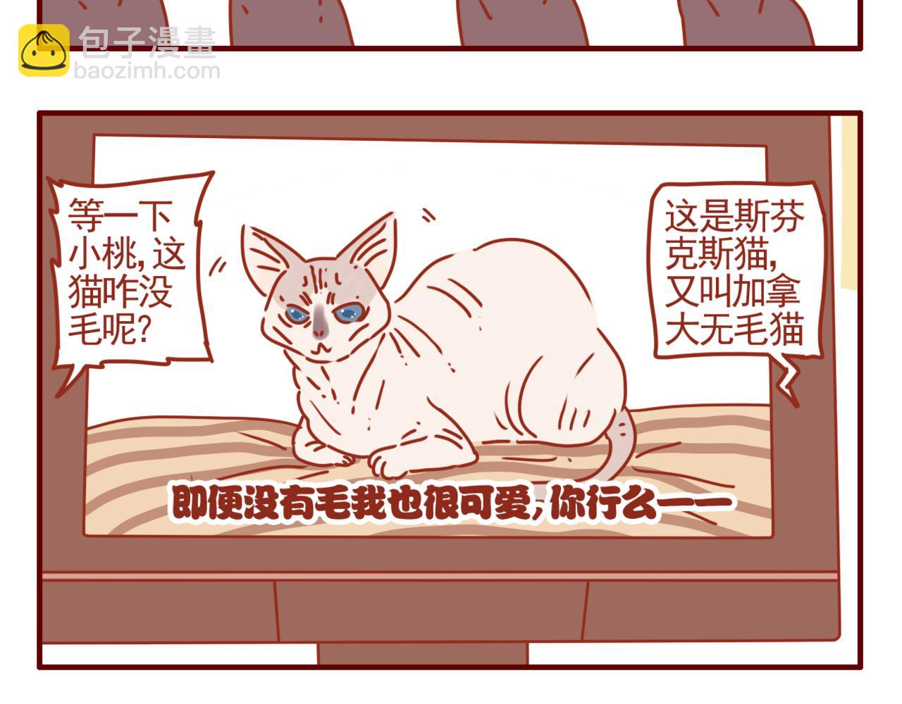 第17话 我们小桃拍广告啦-第18话