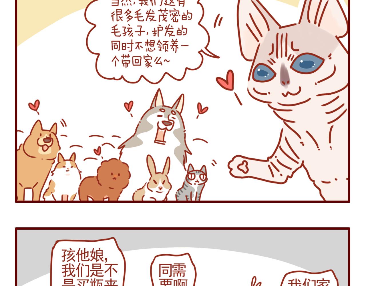 第17话 我们小桃拍广告啦-第18话