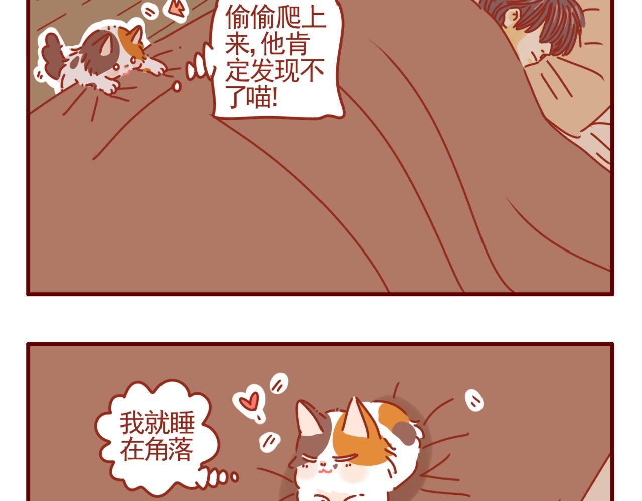 第39话 一人一喵-第40话