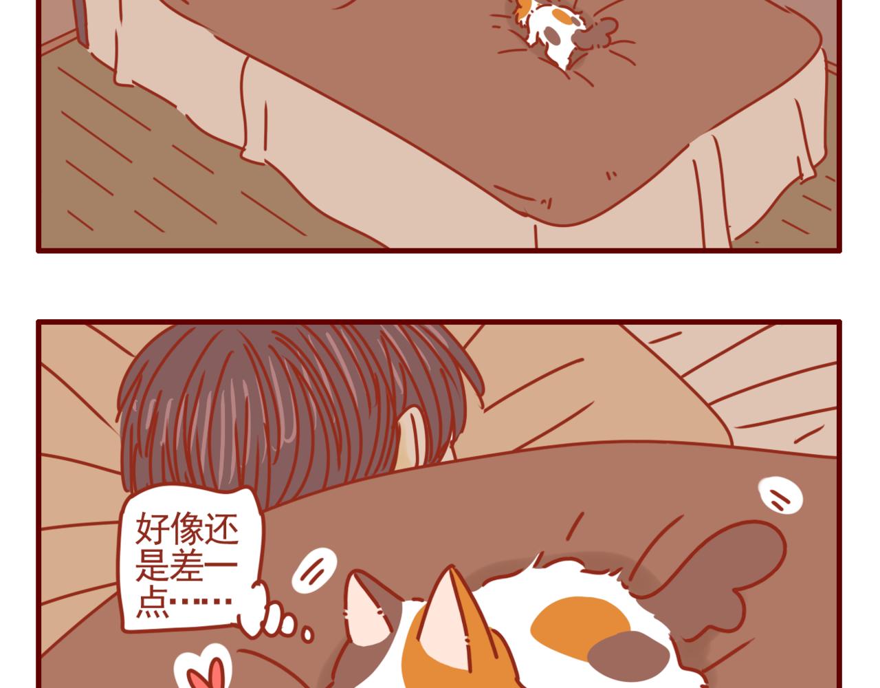 第39话 一人一喵-第40话