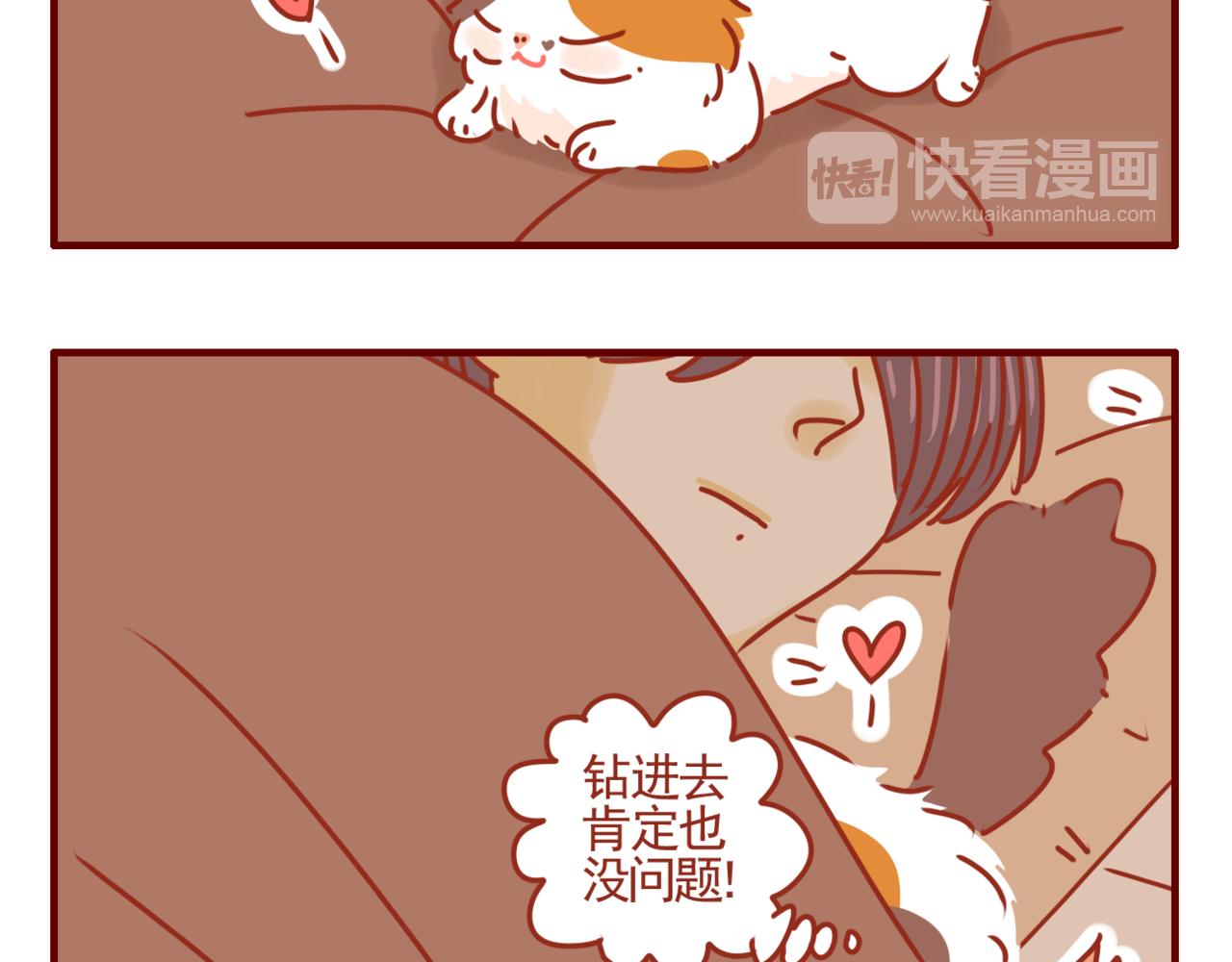 第39话 一人一喵-第40话