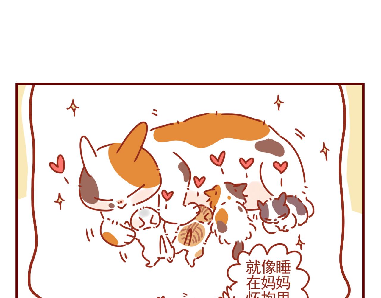 第39话 一人一喵-第40话