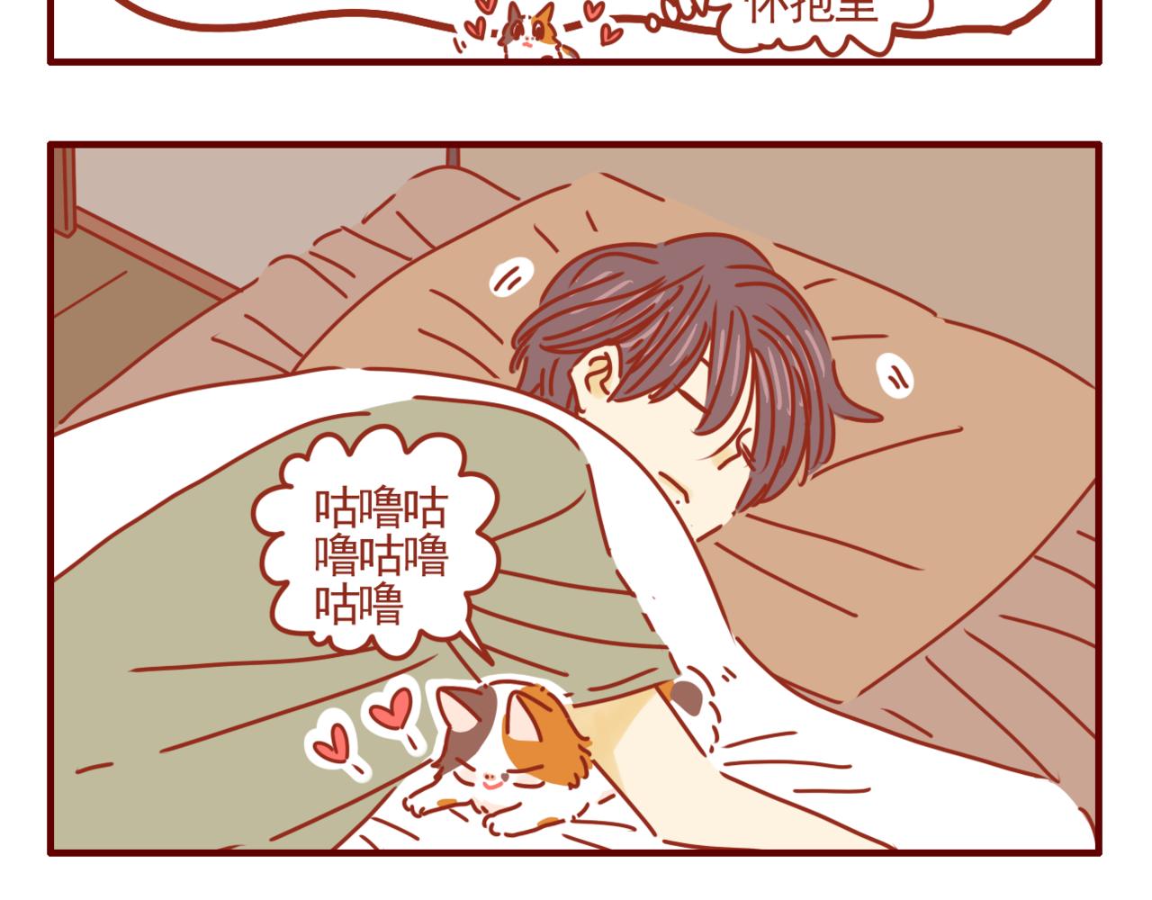 第39话 一人一喵-第40话