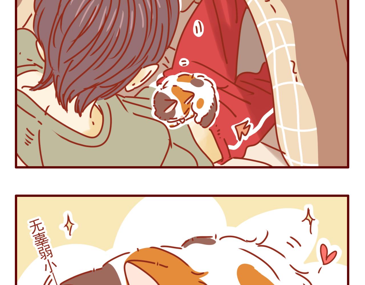 第39话 一人一喵-第40话