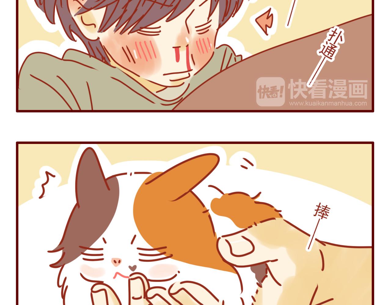 第39话 一人一喵-第40话