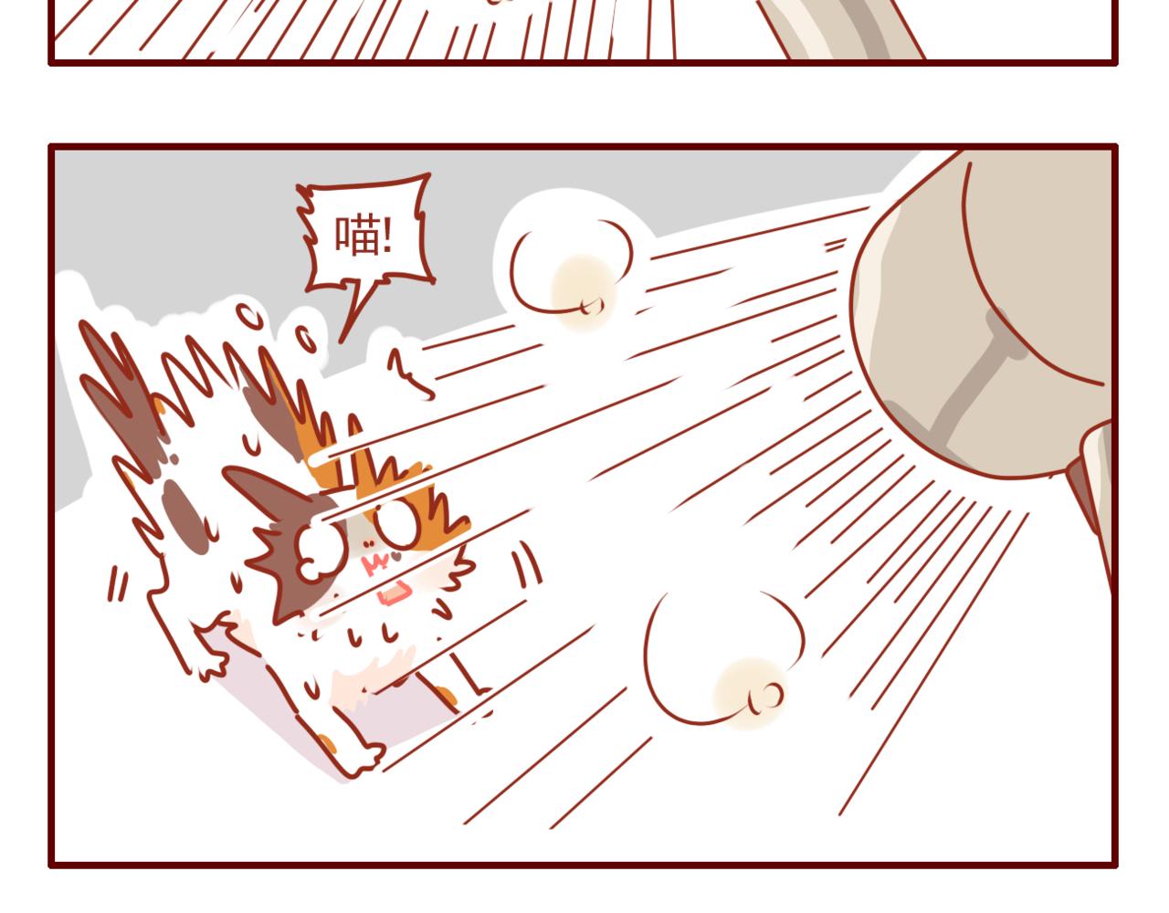 第39话 一人一喵-第40话