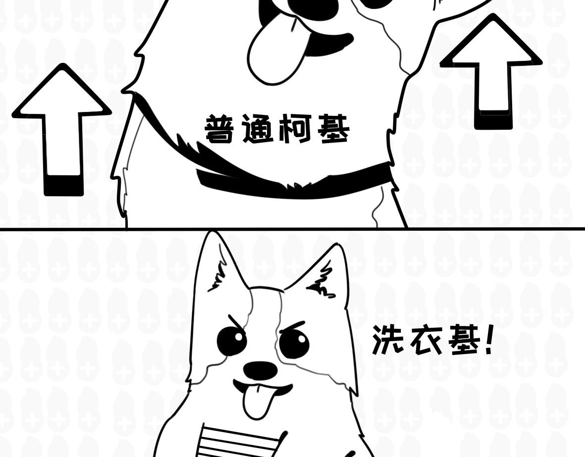 猫的作死等级（2）-第14话