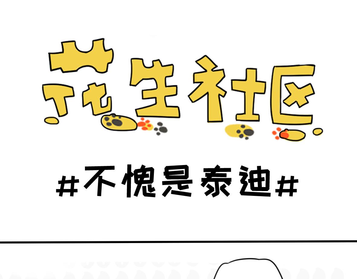 猫的作死等级（2）-第14话