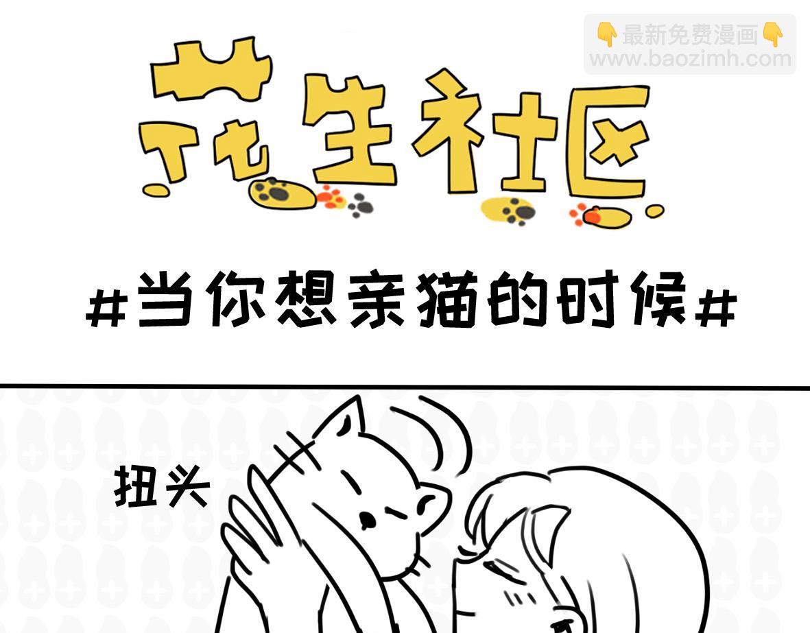 千万别喂路边的流浪狗-第18话