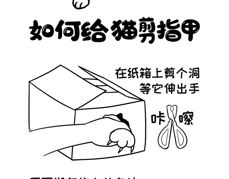 当首席试吃官变胖了！-第26话