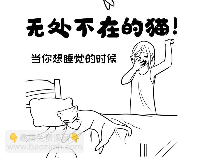 喵大人的挑食让人忍无可忍！-第28话