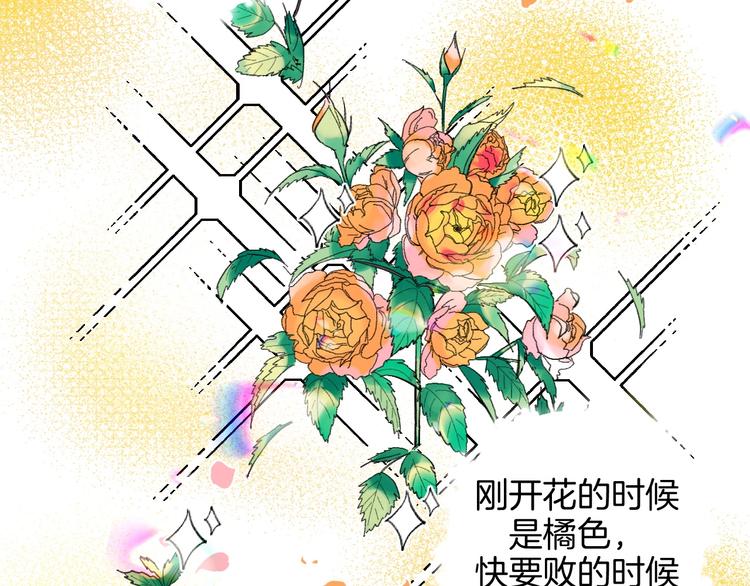 第19话 花匠 心匠(1/2)-第20话