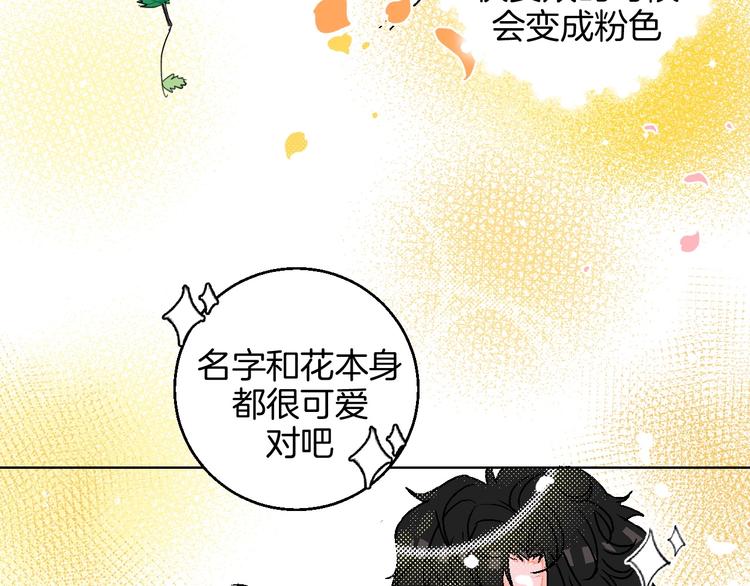 第19话 花匠 心匠(1/2)-第20话