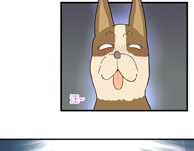 第71话 神秘大叔和料理大赛！(1/2)-第72话