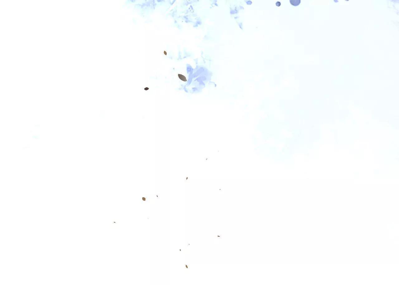 第29话 木帮帮主招亲(1/2)-第30话