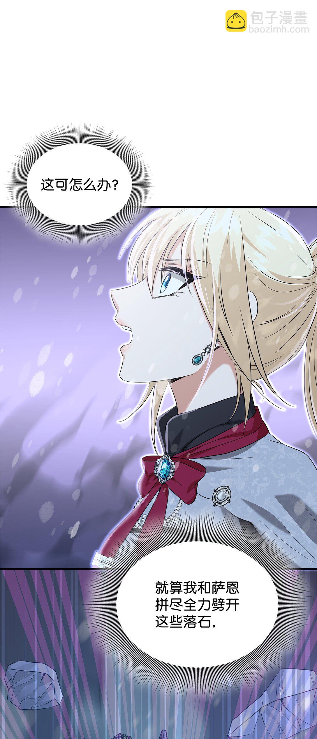 花與劍：帝國榮光的聯姻生活 - 97 新皇人選(1/2) - 3