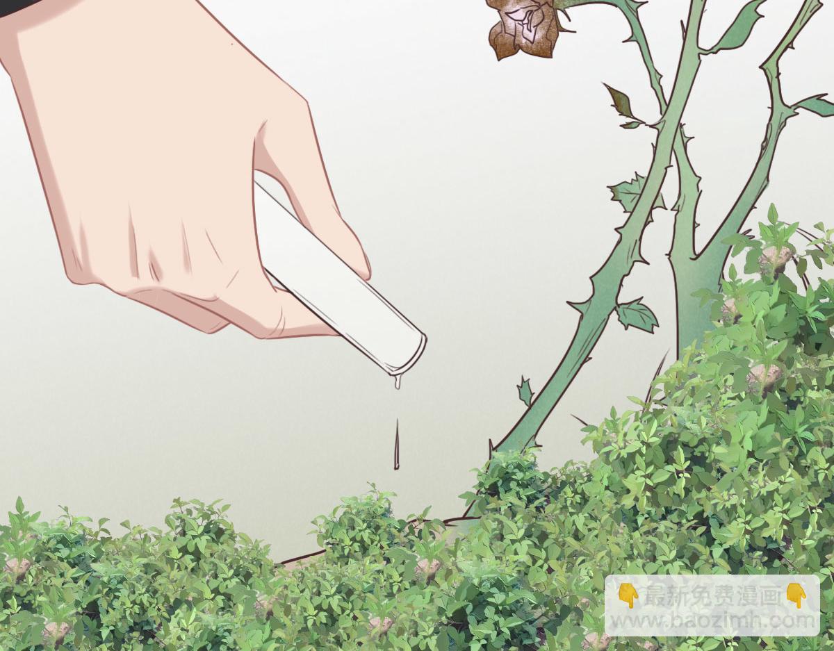 花與同謀 - 第53話 世間少有(2/3) - 4