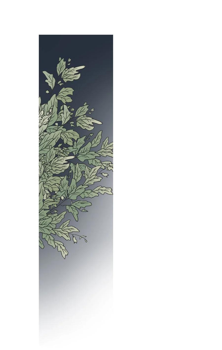 40 溪岚思念(1/2)-第40话