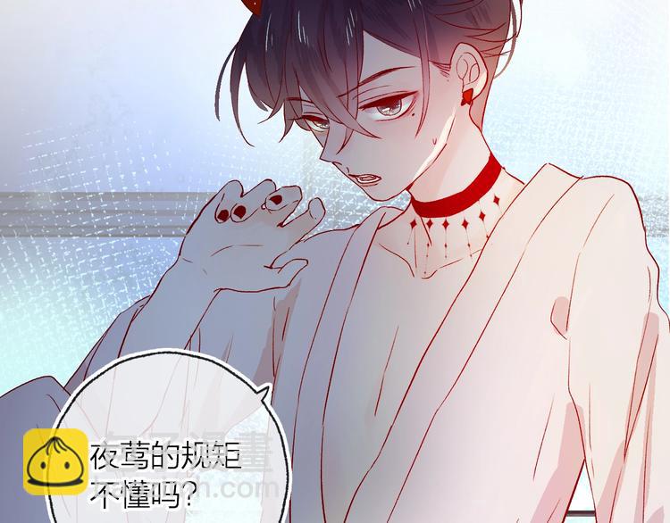 第11话 昙花一现的温柔(1/2)-第12话