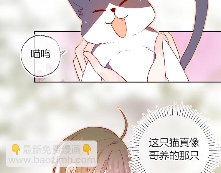 第13话 逆转的感情(1/2)-第16话