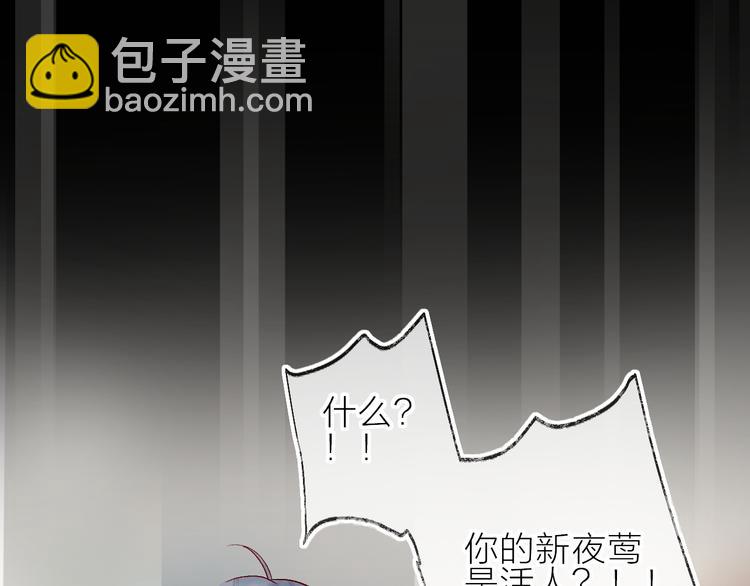 第74话 放鸽子的原因(1/2)-第80话