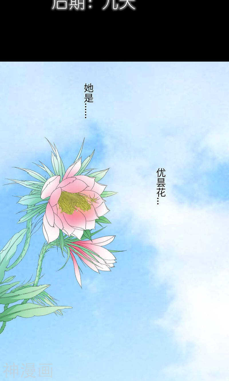 第82话 狐狸精永别了-第84话