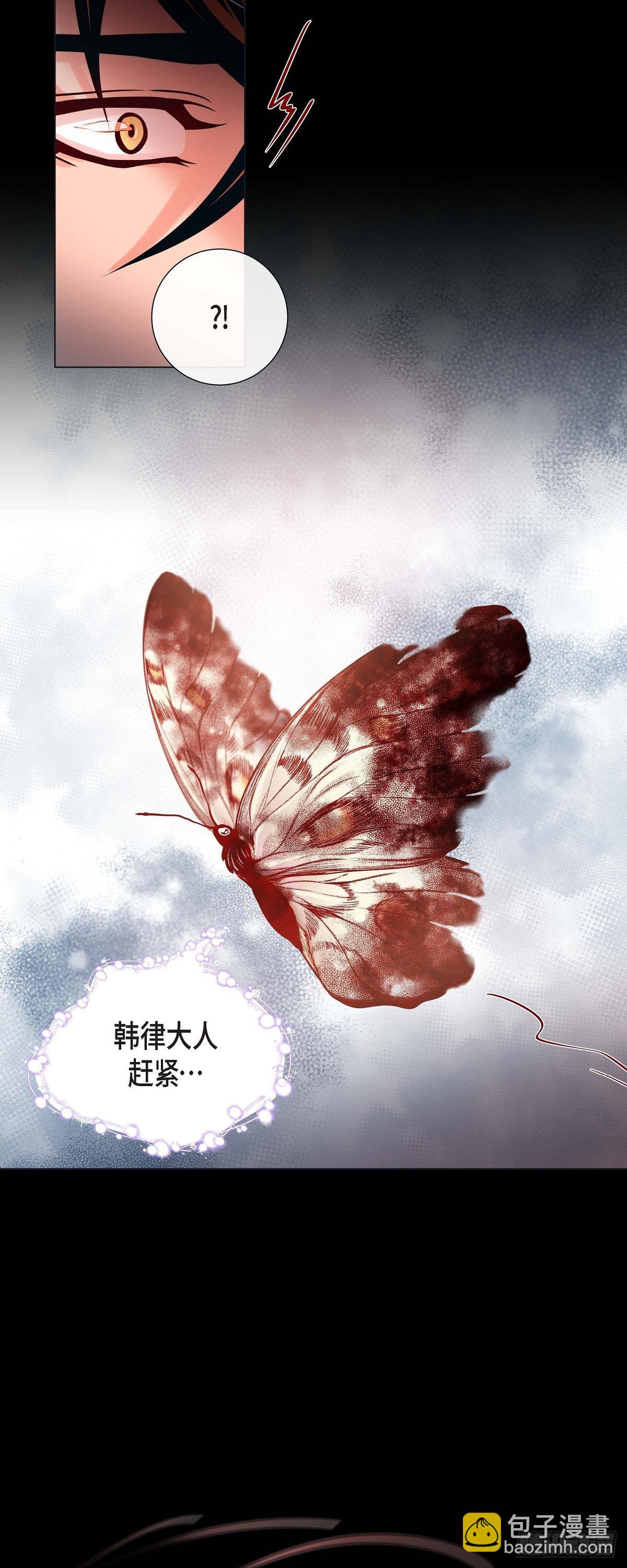蝴蝶，俘获老虎 - 26 韩律的落泪 - 5