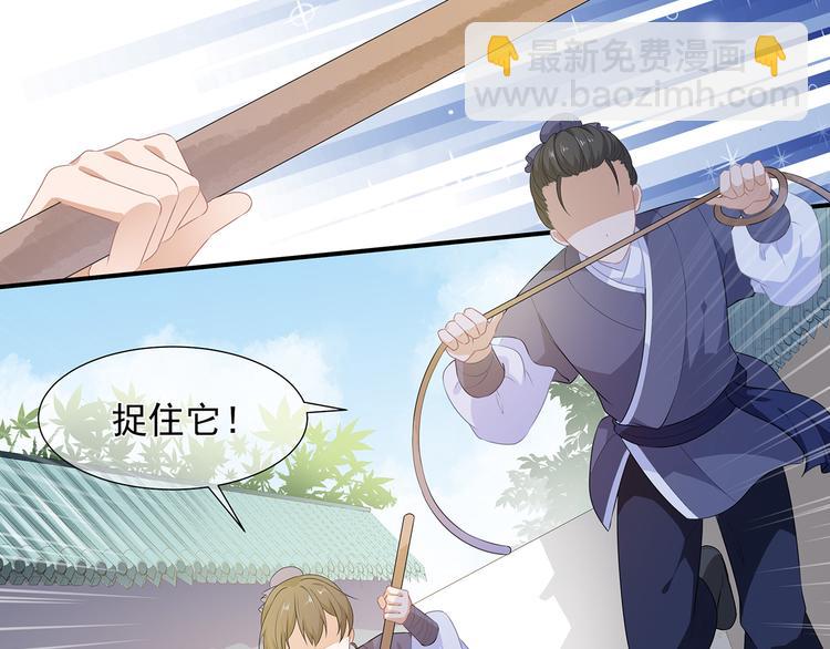 第1话 穿越成狐(1/2)-第2话