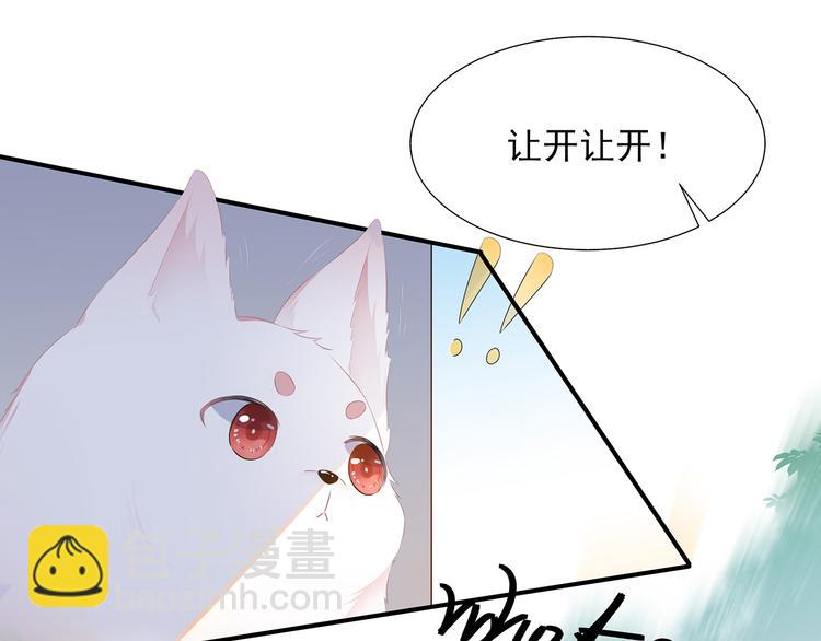 第1话 穿越成狐(1/2)-第2话