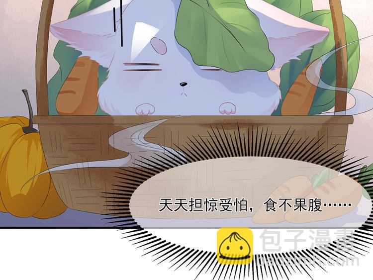 第1话 穿越成狐(1/2)-第2话