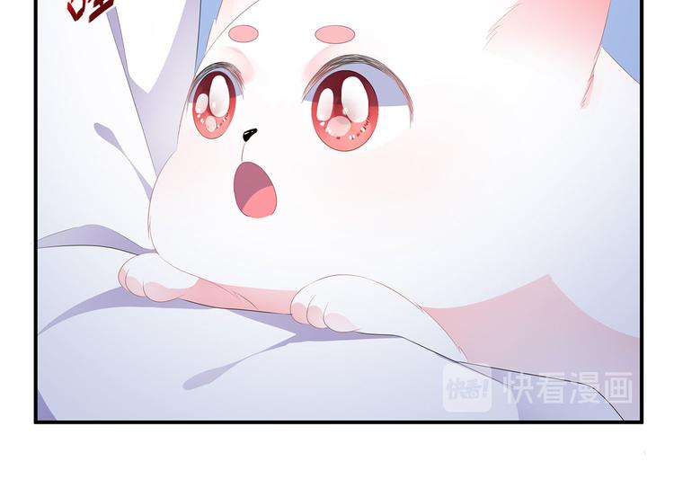 第17话 灵狐入宫(1/2)-第18话