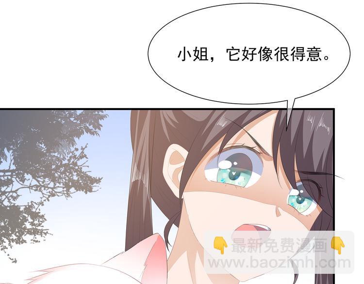 第19话 法术显灵(1/2)-第20话