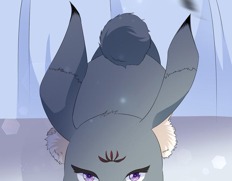 番外 大灰兔的秘密(1/2)-第74话