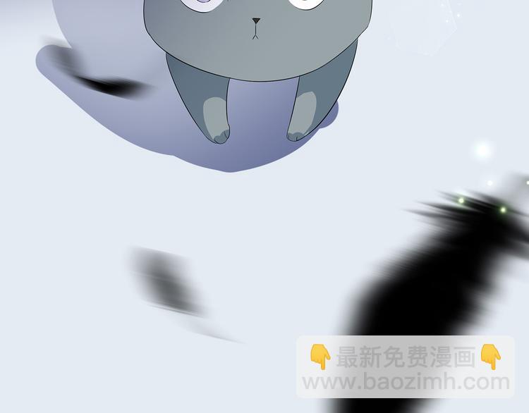 番外 大灰兔的秘密(1/2)-第74话