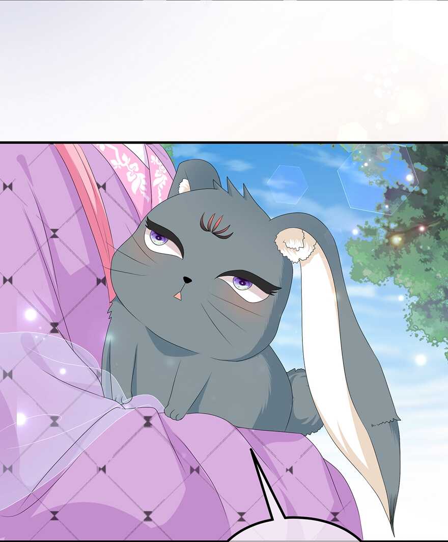 第68话 云府逸闻-第76话