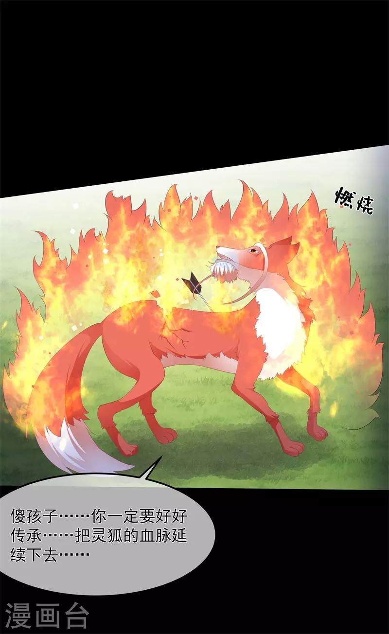 第90话 灵狐传承-第102话