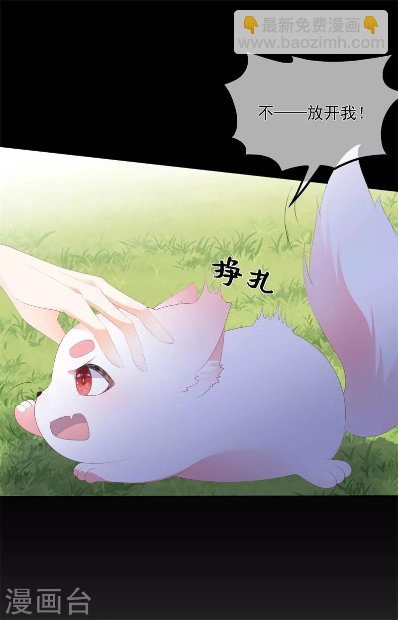 第90话 灵狐传承-第102话