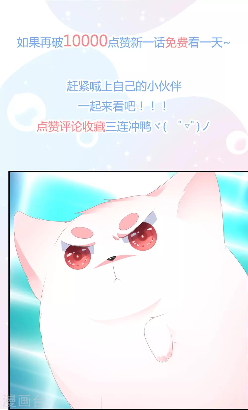 第62话 神秘的黑兔-第72话