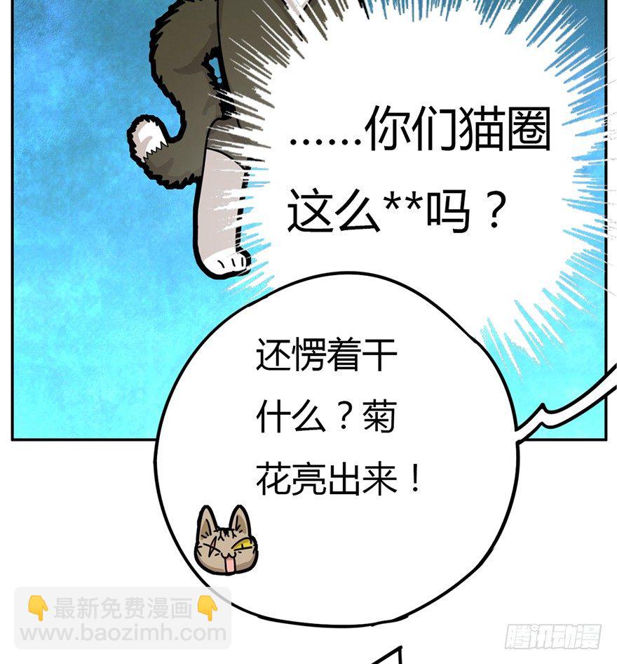 回到过去变成猫外传 - 第2爪 做猫第一课（上） - 4