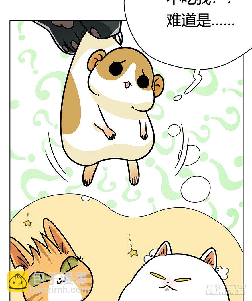 第96爪 猫鼠联盟-第102话