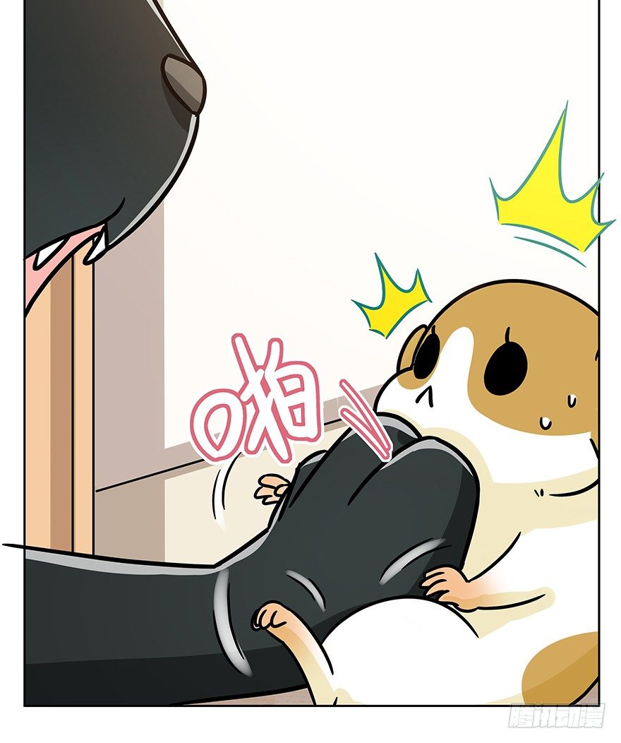 第96爪 猫鼠联盟-第102话