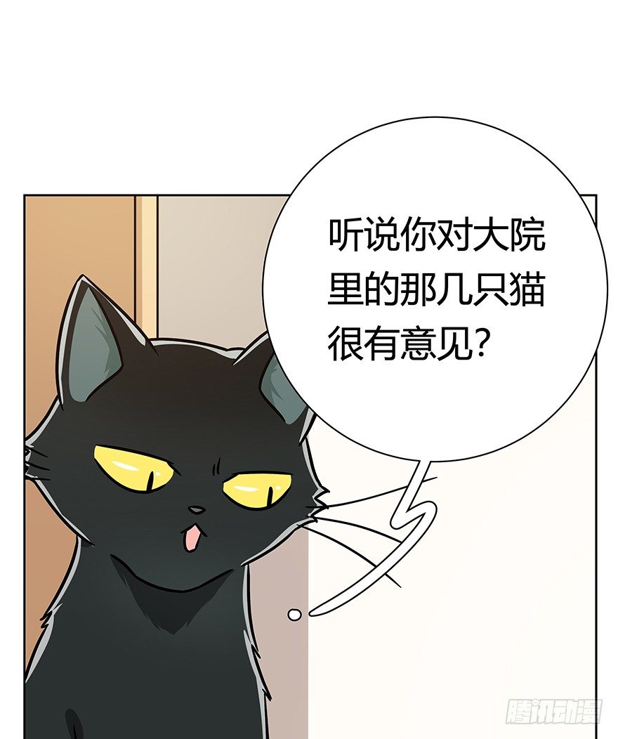 回到过去变成猫外传 - 第96爪 猫鼠联盟 - 3