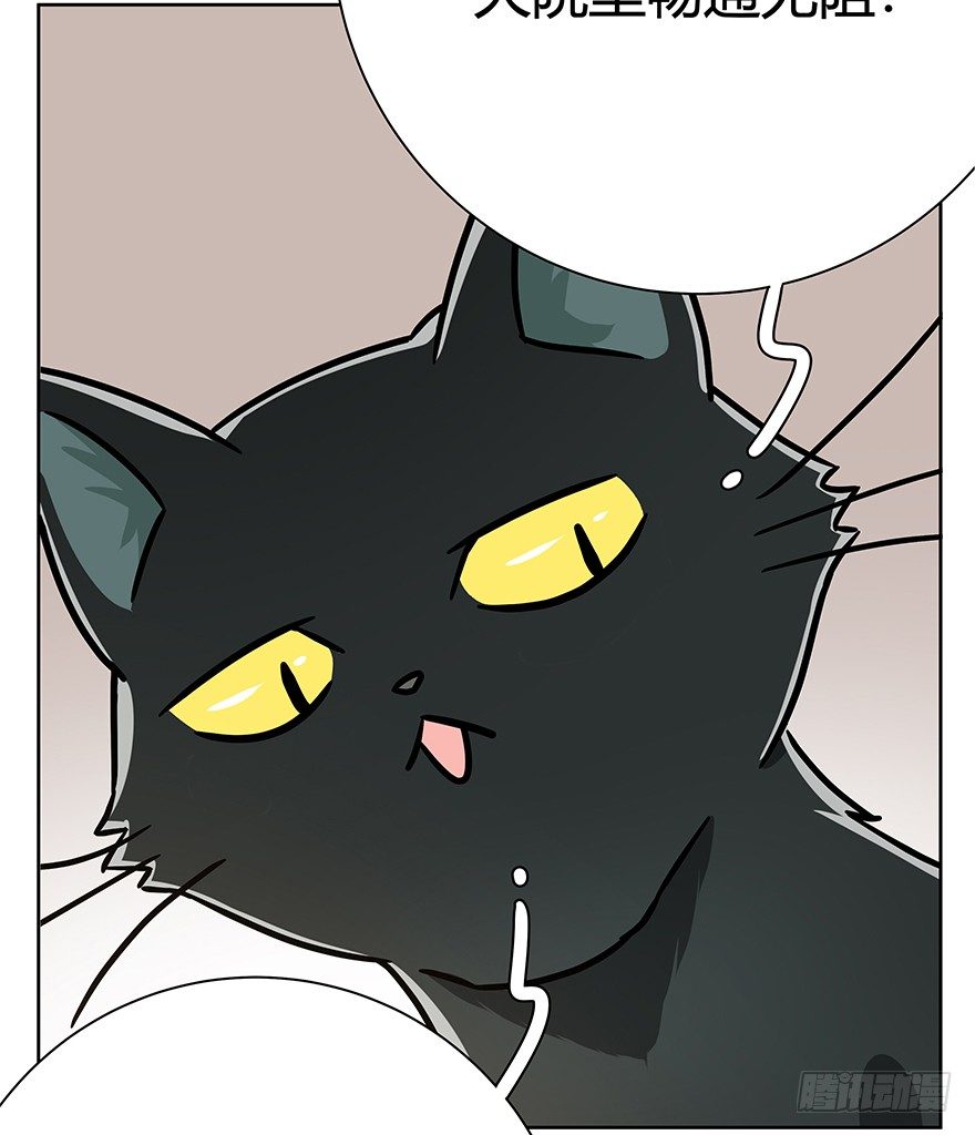 第96爪 猫鼠联盟-第102话