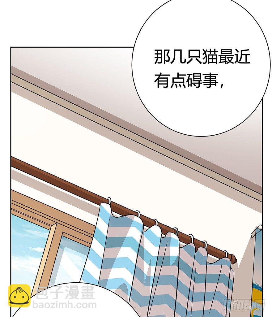 第96爪 猫鼠联盟-第102话