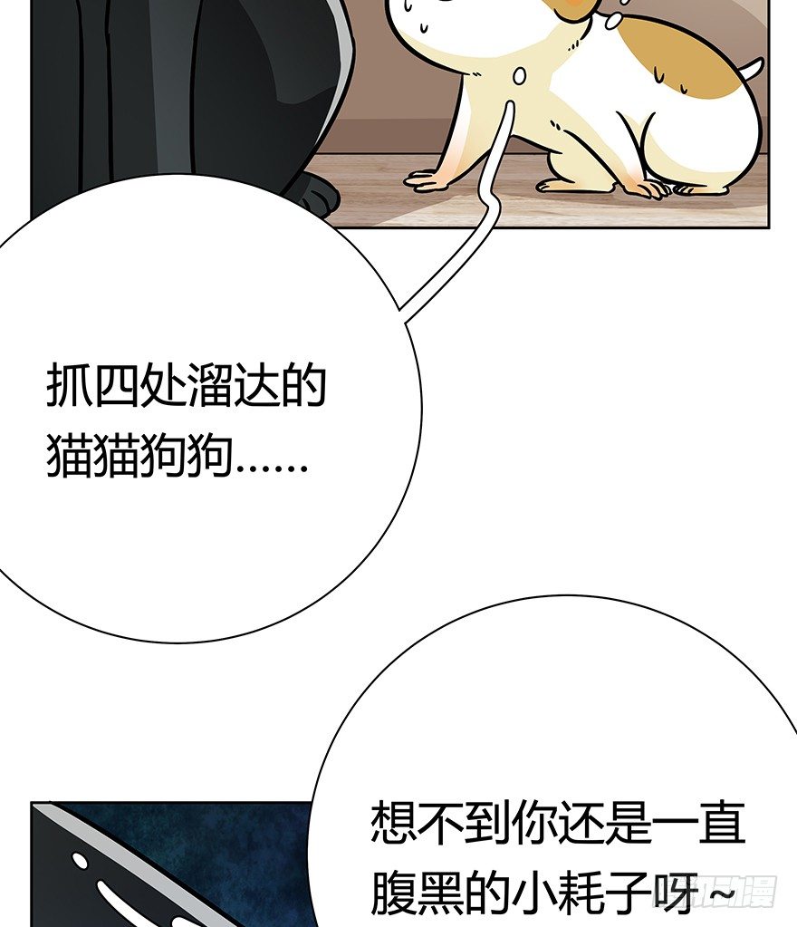 回到过去变成猫外传 - 第96爪 猫鼠联盟 - 4