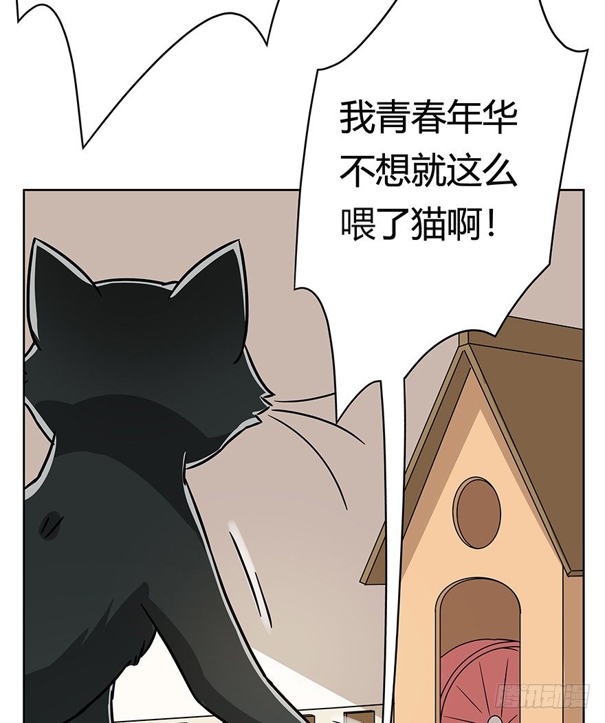 回到过去变成猫外传 - 第96爪 猫鼠联盟 - 2