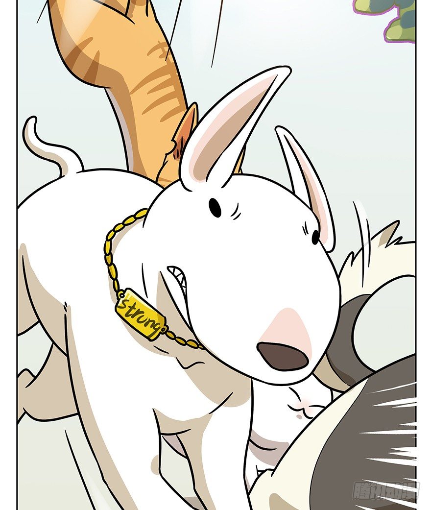 第98爪 告密（下）-第104话