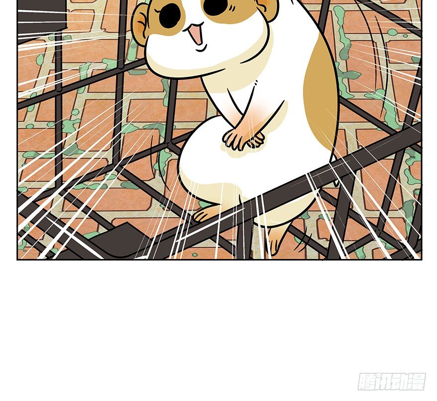 第98爪 告密（下）-第104话