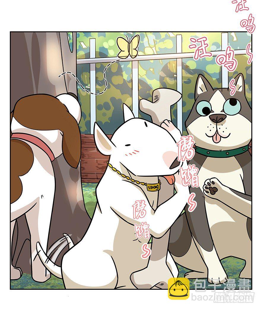 第98爪 告密（下）-第104话