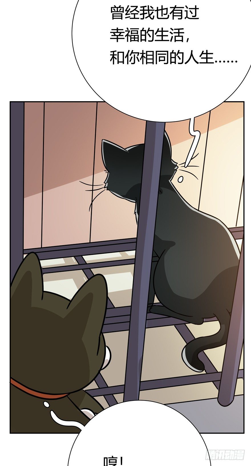 第100爪 黑炭的真相-第106话